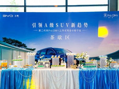 2025款宋Pro新能源细节图