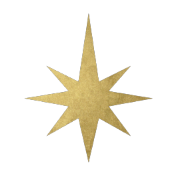 弗那萨利汽车LOGO