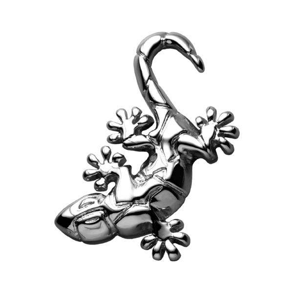 威兹曼汽车LOGO