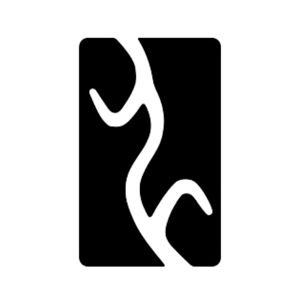 仰望汽车LOGO
