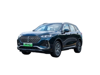魏牌 拿铁DHT-PHEV